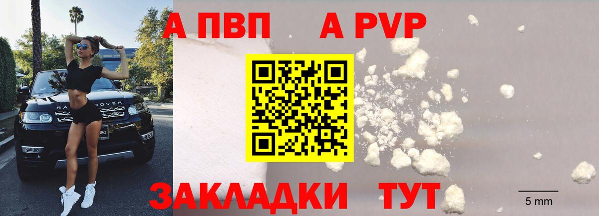 A-PVP СК КРИС Лесосибирск
