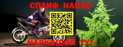 МДПВ Донской