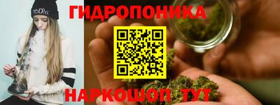 метадон Дубна